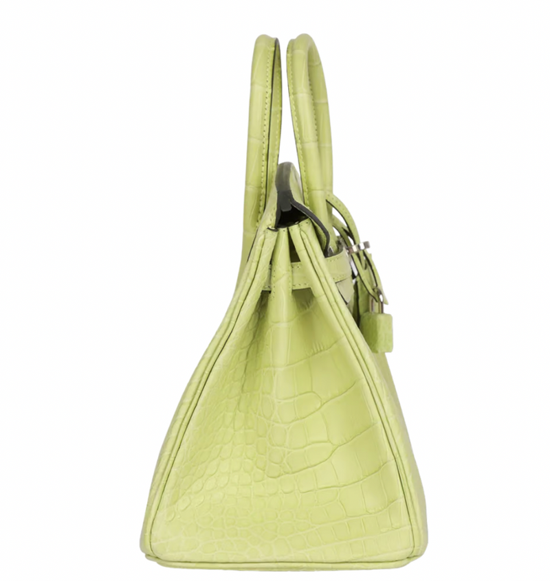 Jaune Bourgeon Birkin 25 cm in Mississippiensis Alligator Matte with Palladium Hardware