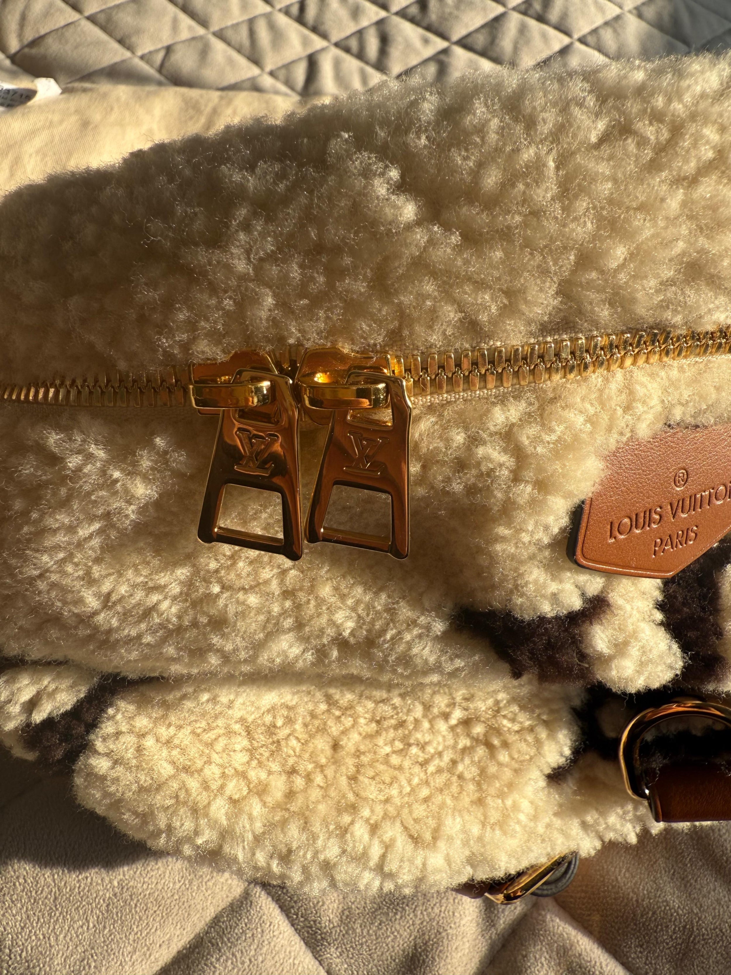 Louis Vuitton Ski Cozygram Collection Bumbag