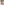         Stella McCartney Nude Silk Dress