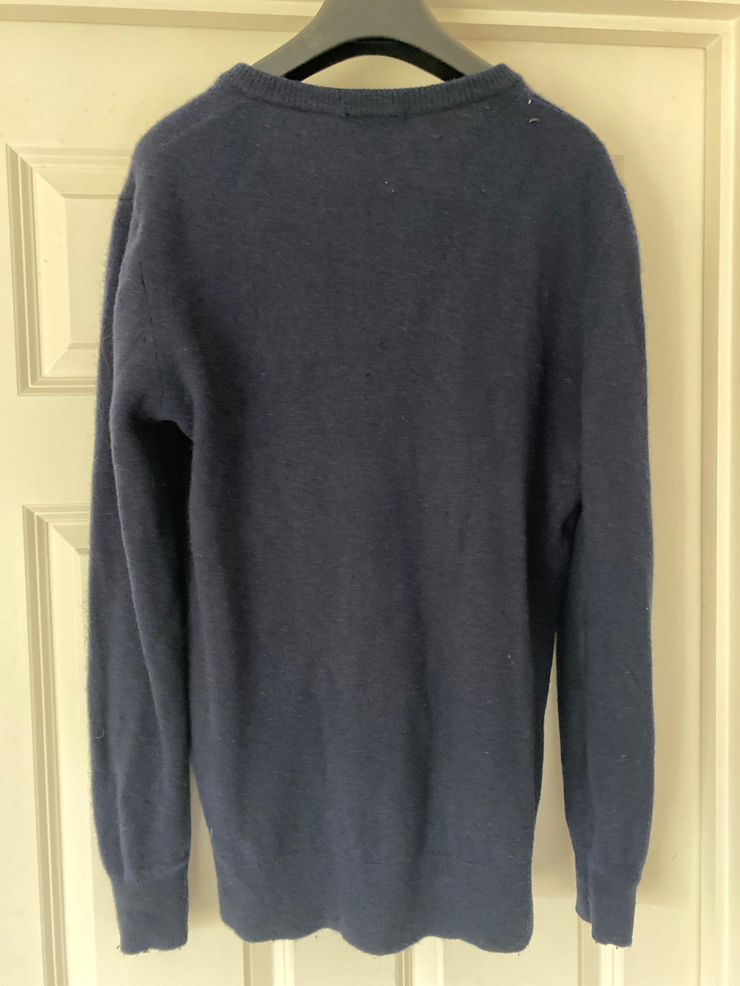 Blue V-Neck Wool Jumper