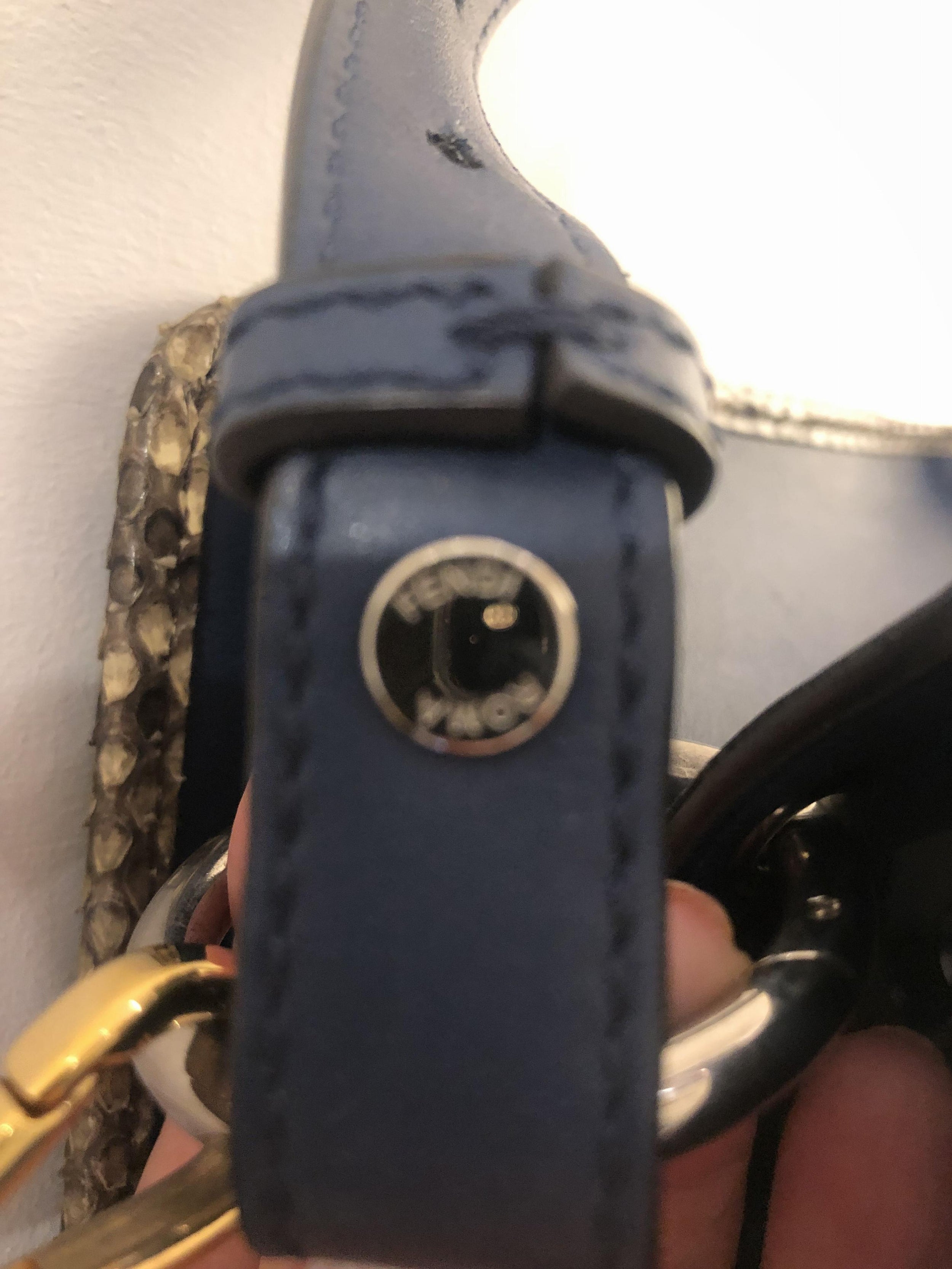Fendi Blue Leather & Snakeskin Small Runaway Bag