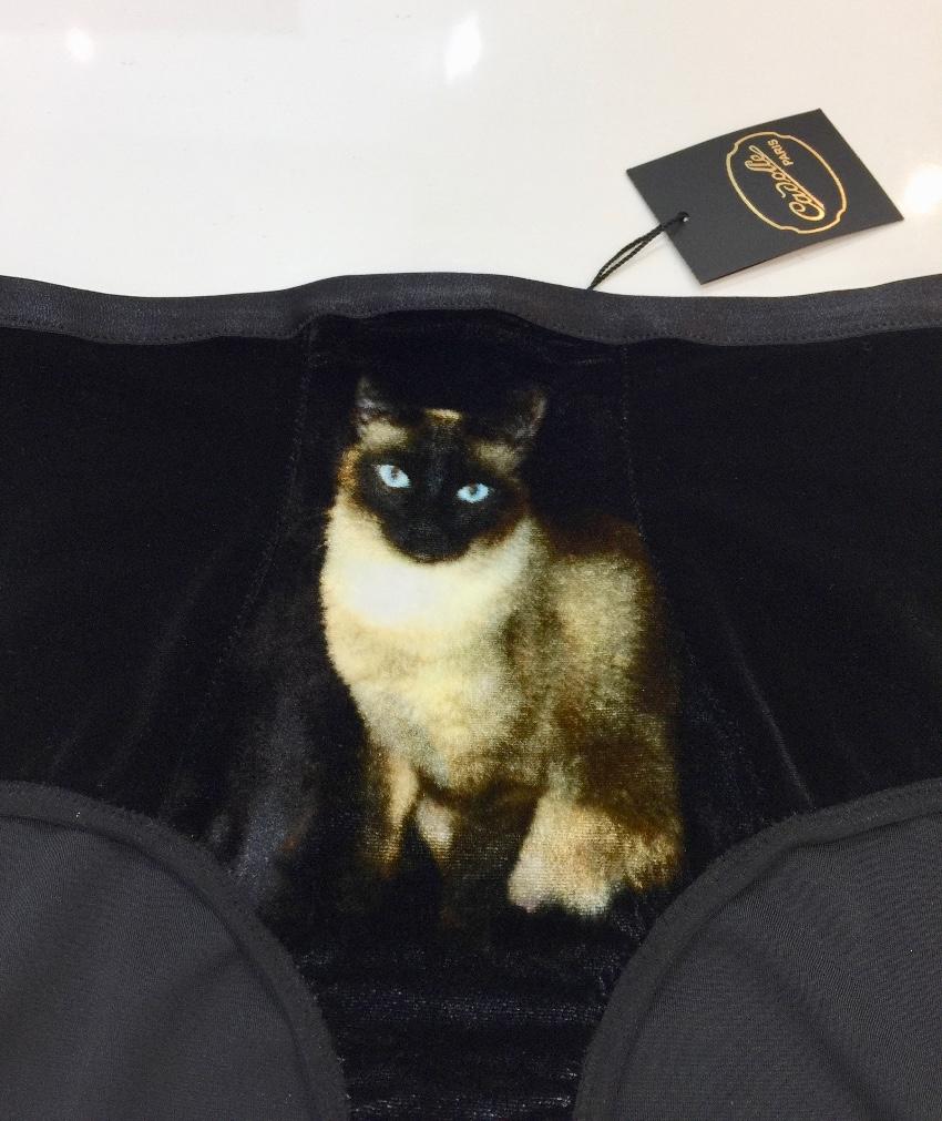 Cadolle Paris Couture Silk Velvet Divine Cats Set