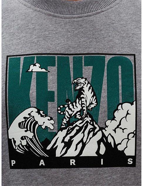 Tiger Mountain Grey Sweatshirt