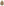         Barbour Khaki Quilted Jacket