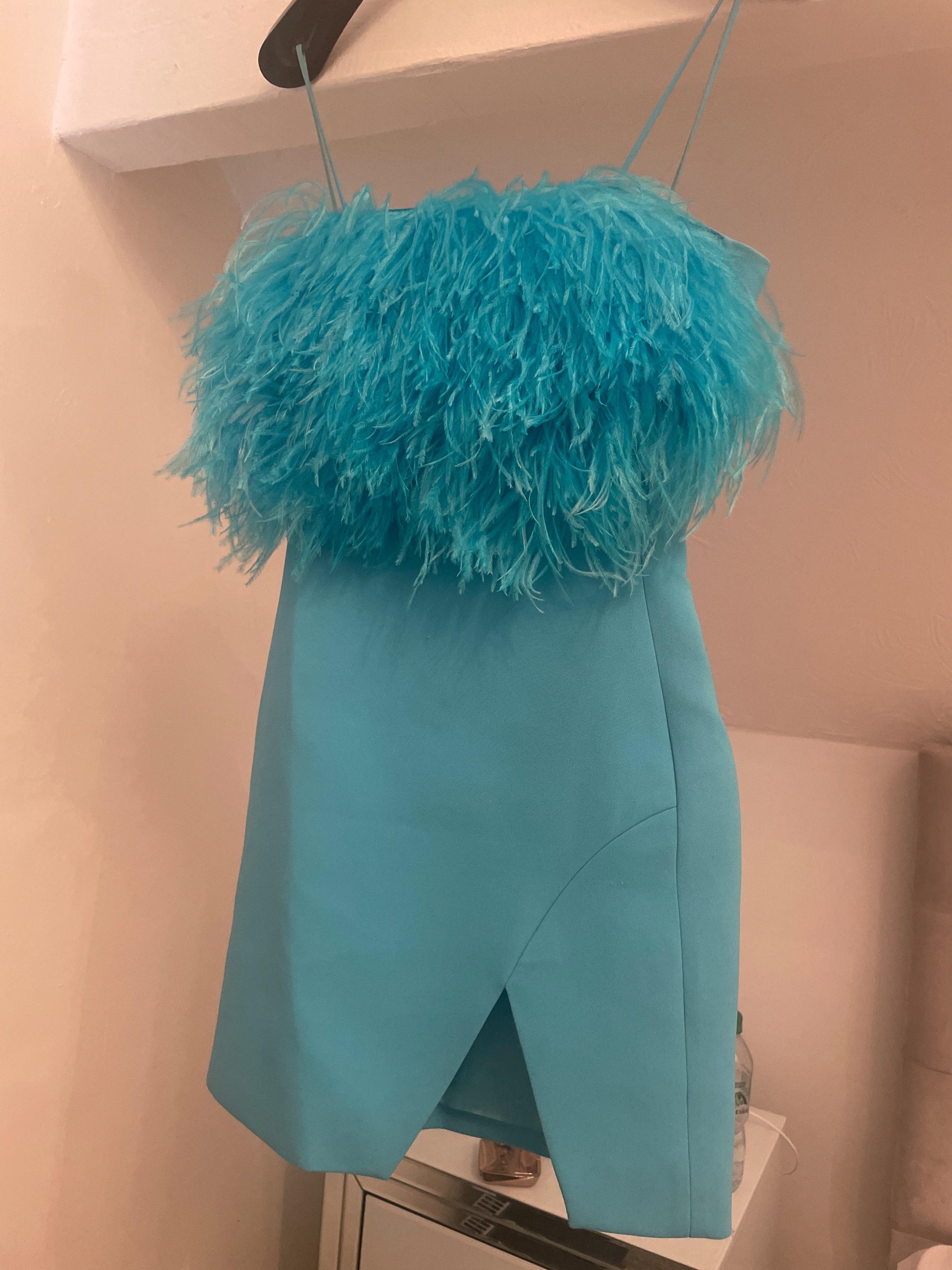 Feather-trimmed cady mini dress