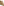         Alexis Golden Ethereal Paris Dress