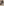         Yeezy Boost 350 V2 Citrin Lace Up Trainers