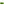         Roger Vivier green suede tote