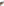         Prada Black Cat-eye Sunglasses