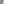         White leather Ace trainers