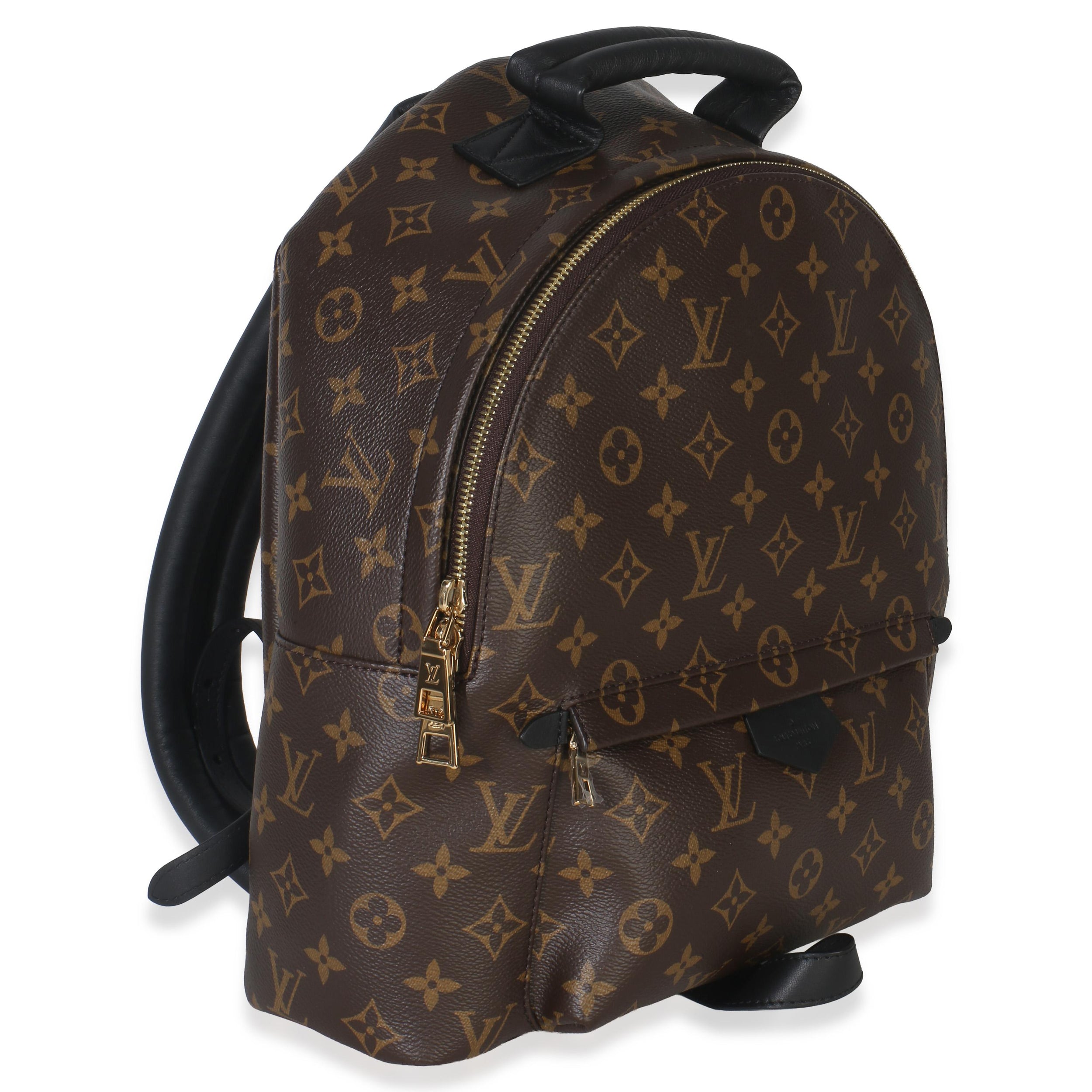 Louis Vuitton Coated Canvas Palm Springs MM