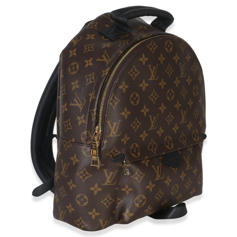Louis Vuitton Coated Canvas Palm Springs MM