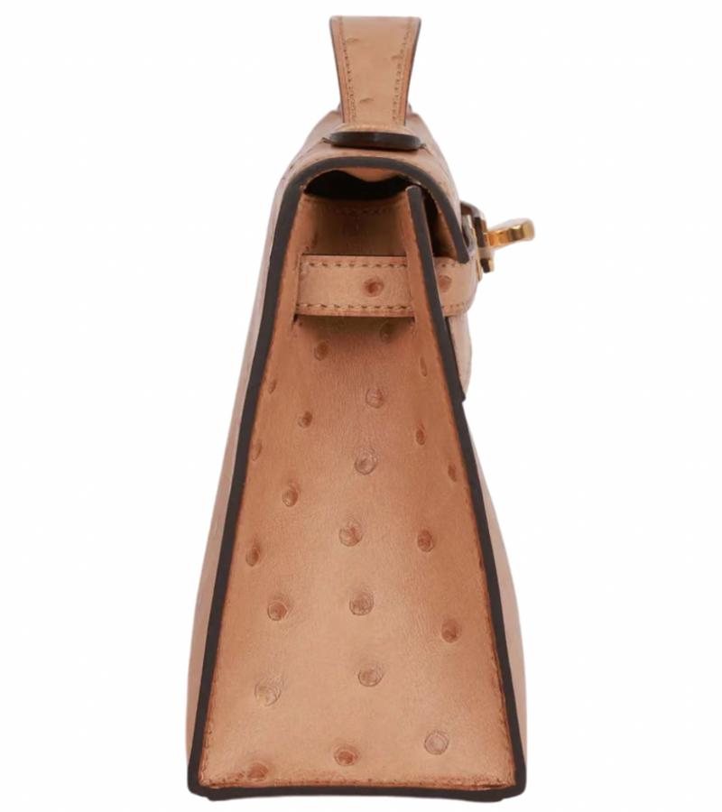 22cms Mini Pochette  Autruche Chai Gold Hardware