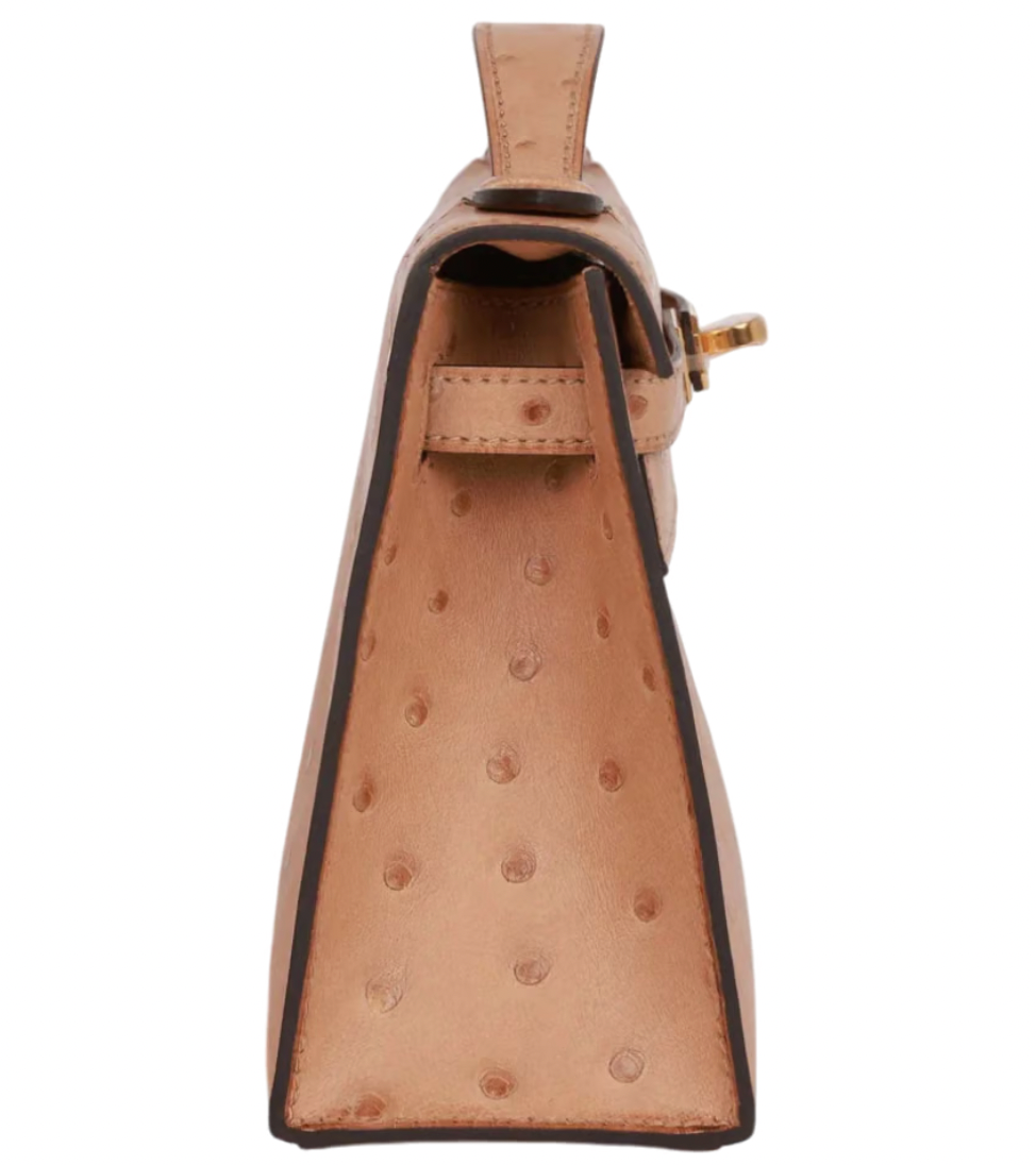 22cms Mini Pochette  Autruche Chai Gold Hardware