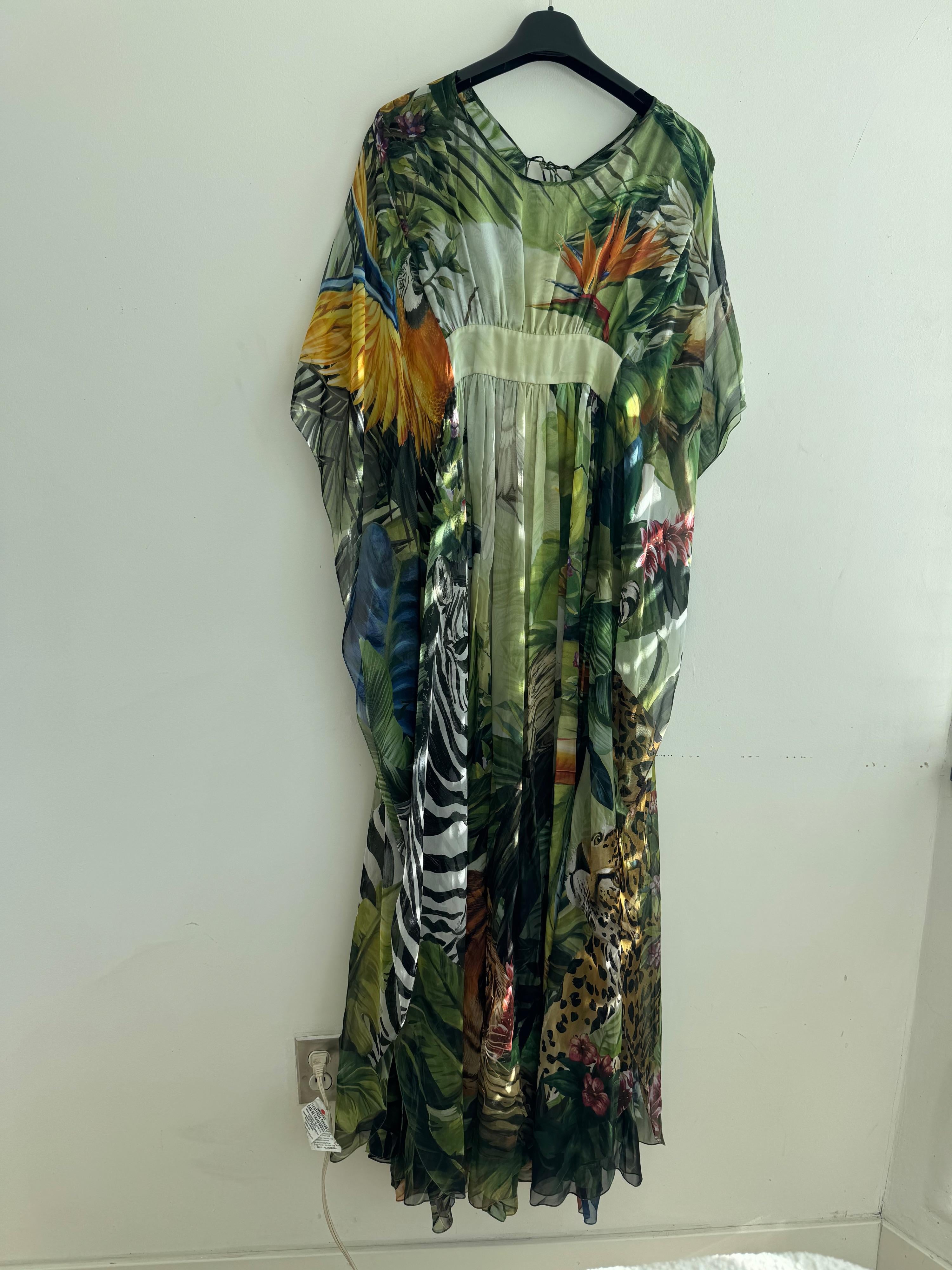 Printed Silk Chiffon Maxi Dress