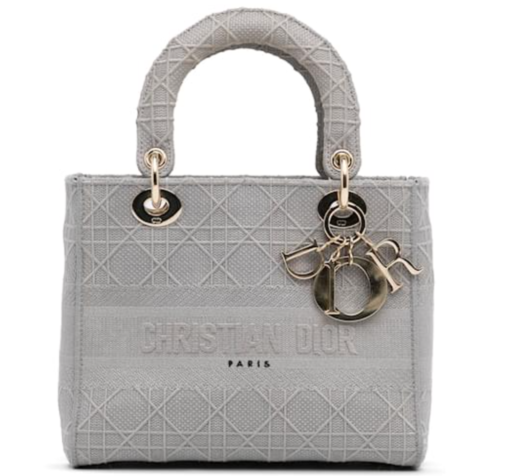 Dior Grey Embroidered Medium Lady D-Lite