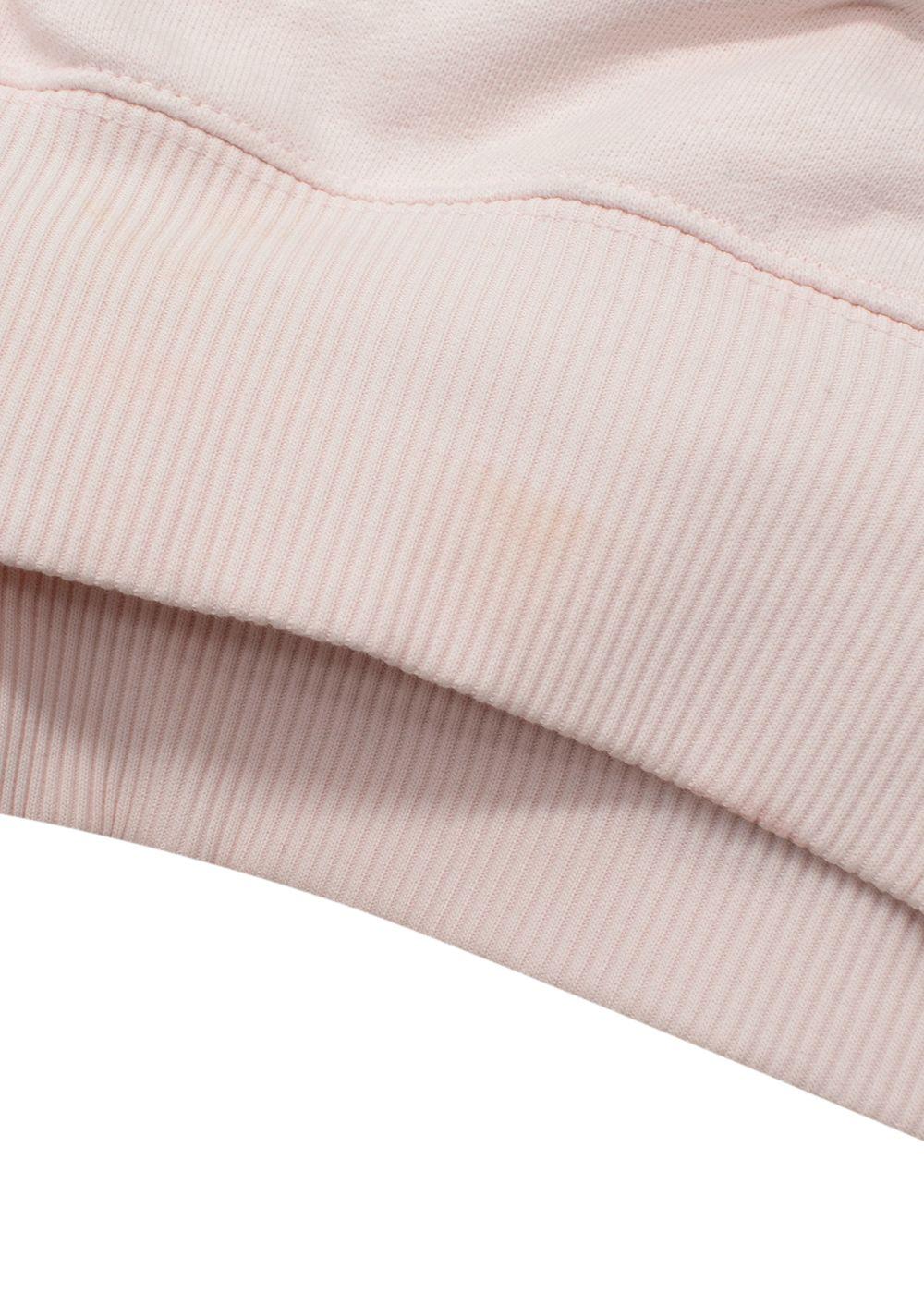 Loewe Pink Herbarium Embroidered Hoodie