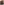         Marni Red & Black Kimono Coat