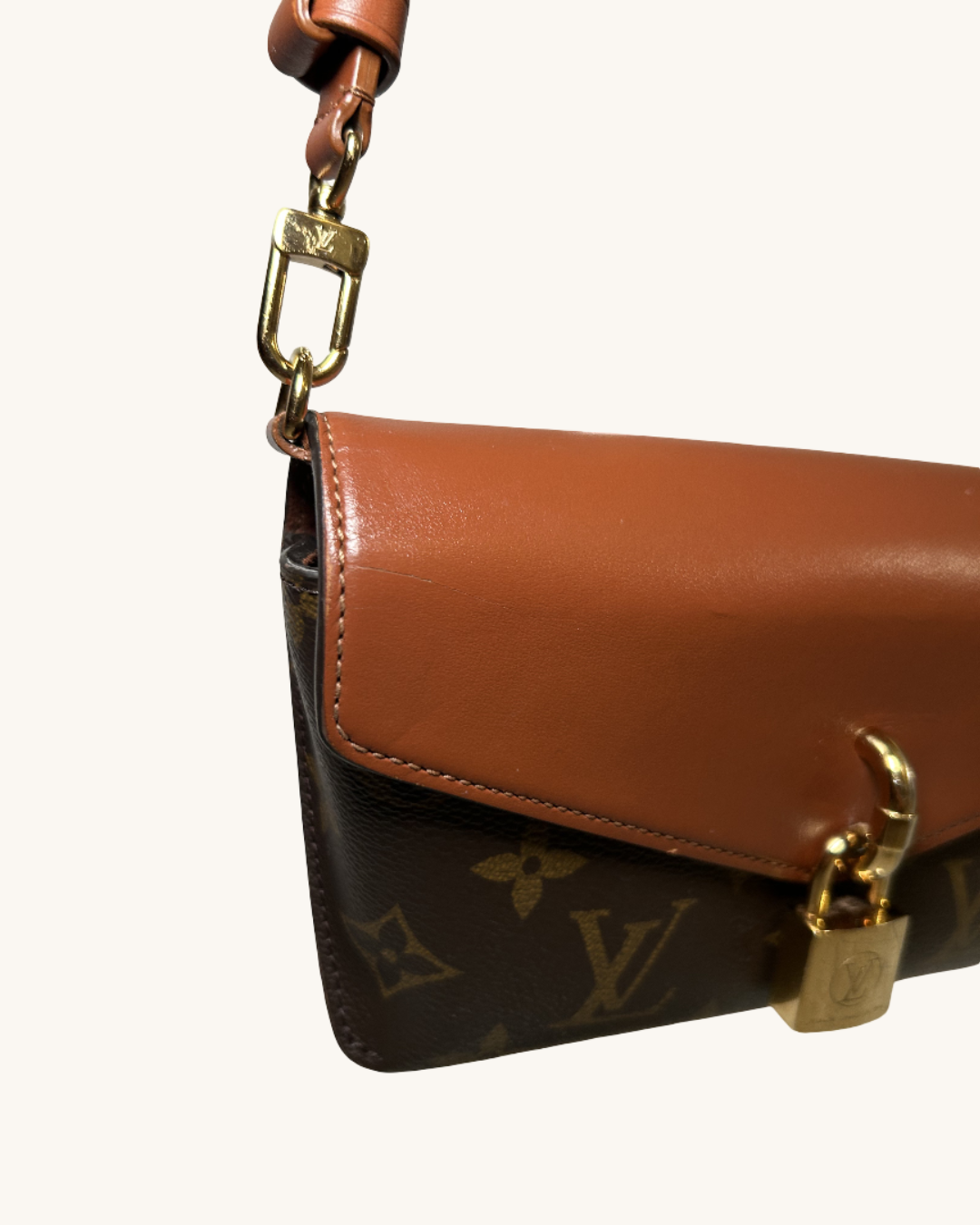 Louis Vuitton Coated Canvas And Leather Bag