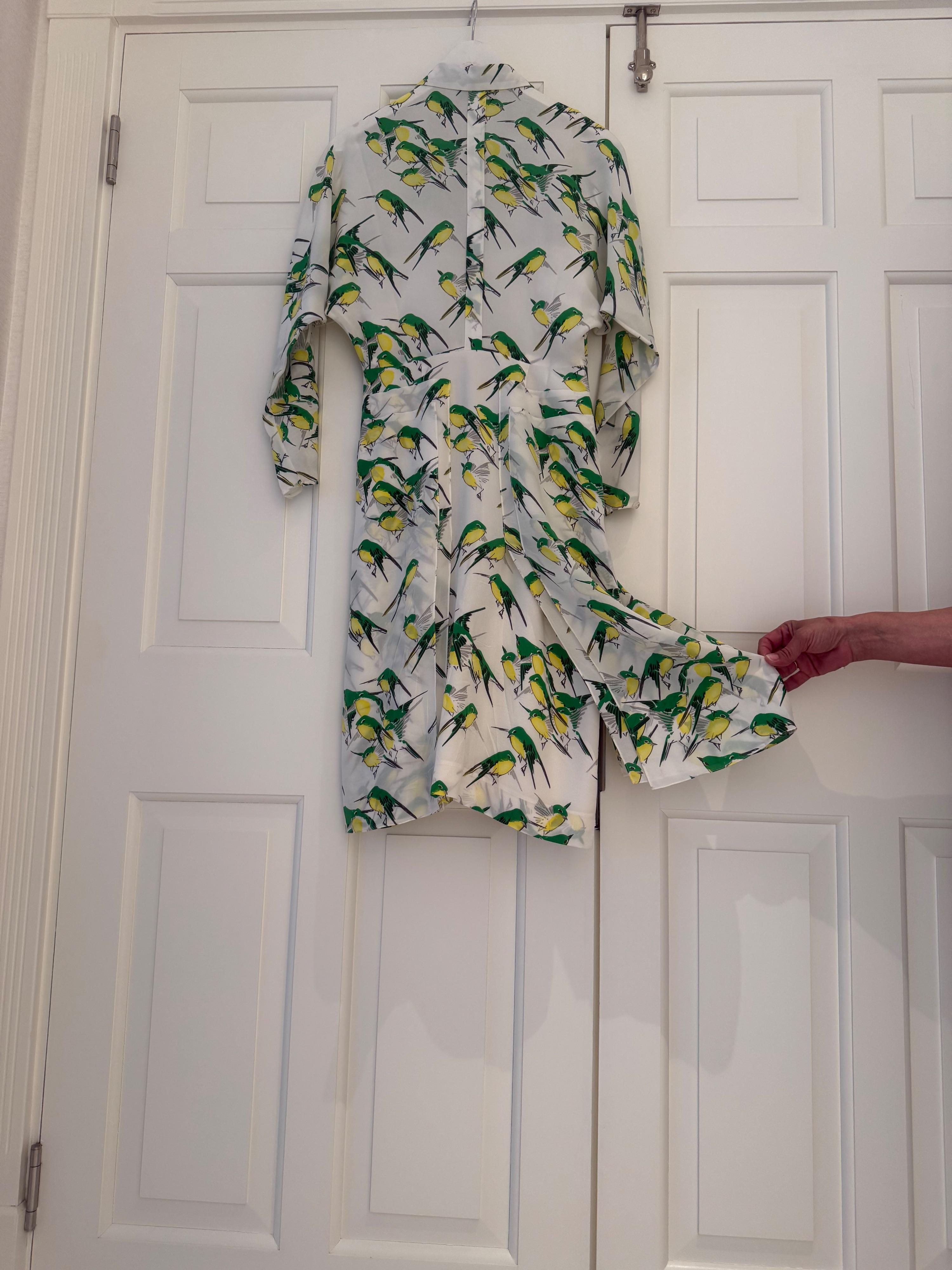 Long Sleeved Belted bird Print Dress