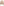         Madeleine Thompson Beige Cashmere Cape