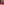         Rose Scheherazade Matte Alligator Mississippiensis Picotin 18
