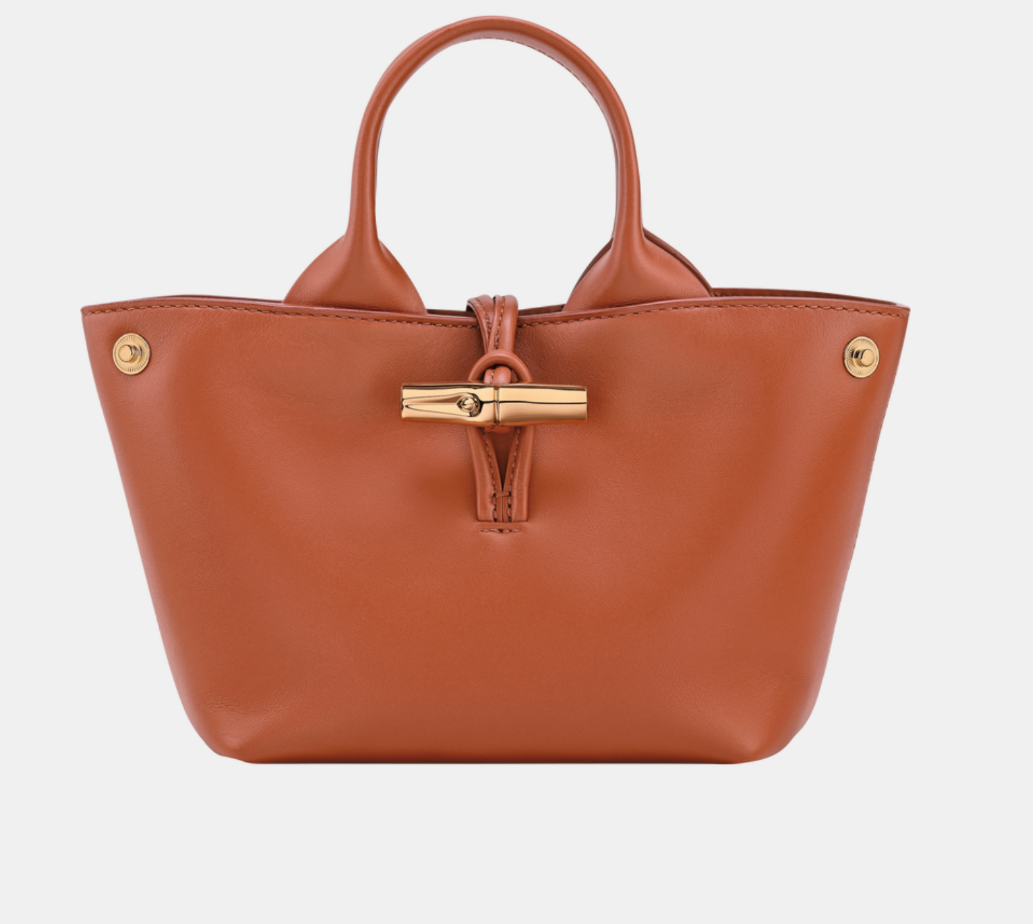 Longchamp Le Roseau XS Handbag