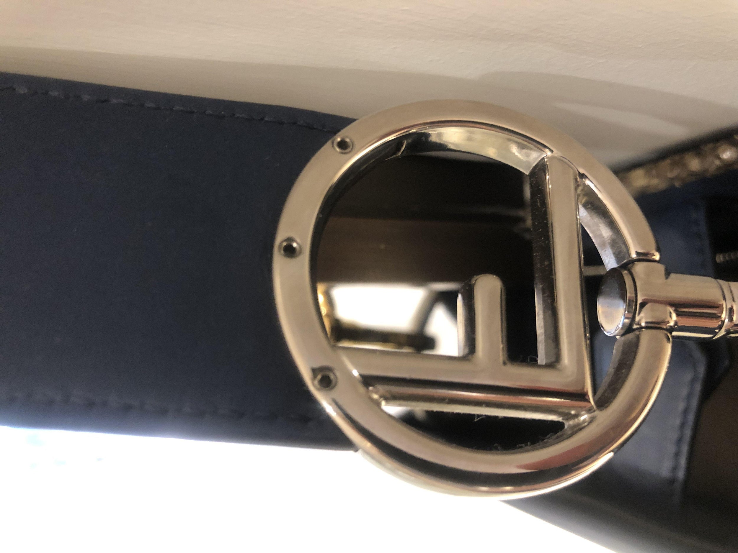 Fendi Blue Leather & Snakeskin Small Runaway Bag