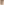         Stella McCartney Nude Silk Dress