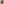         Burberry Runway Collection Black Leather Coat  2025