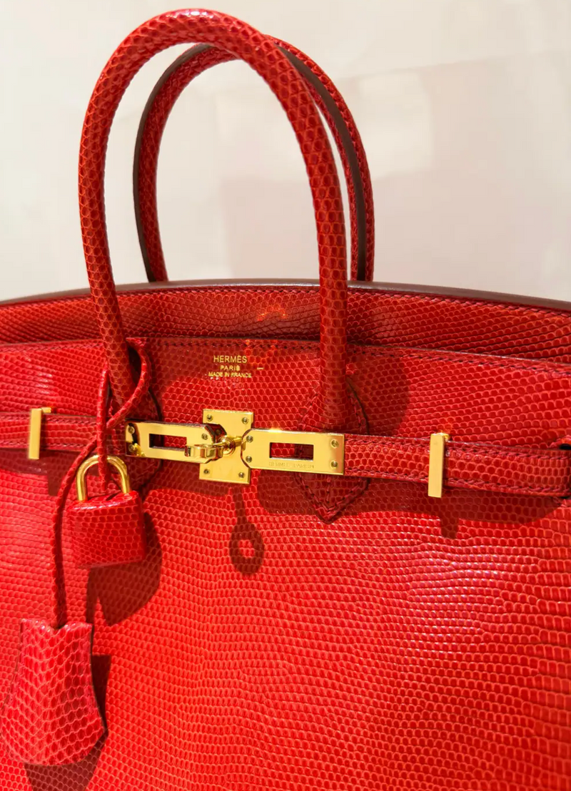Hermes Birkin Rouge Exotique Niloticus Lizard 25cms