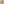         Rokh Beige Gabardine Double-Layered Trench Coat