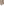         Yeezy Boost 350 V2 Citrin Lace Up Trainers
