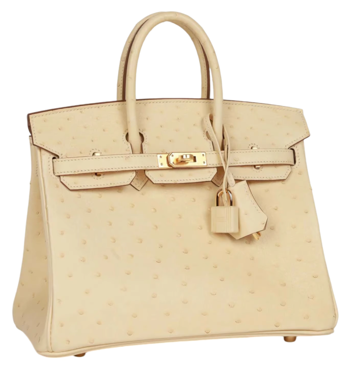 Hermès Birkin 25 Autruche Vanille Gold Hardware