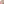         Gina Bacconi Pink Lace Dress