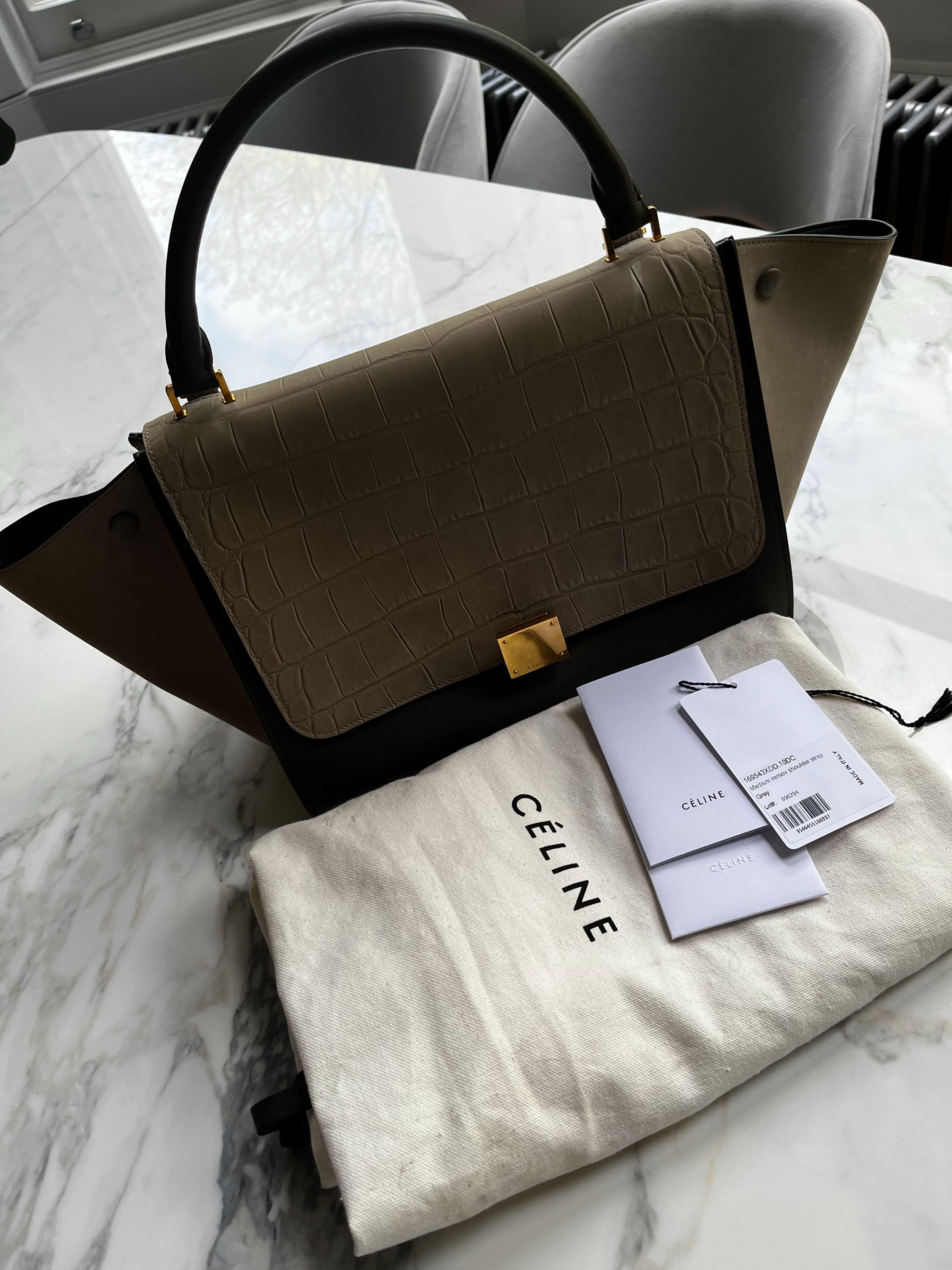 Beige Crocodile Embossed Trapeze Bag