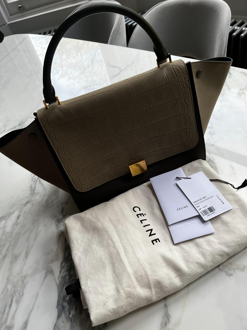 Beige Crocodile Embossed Trapeze Bag
