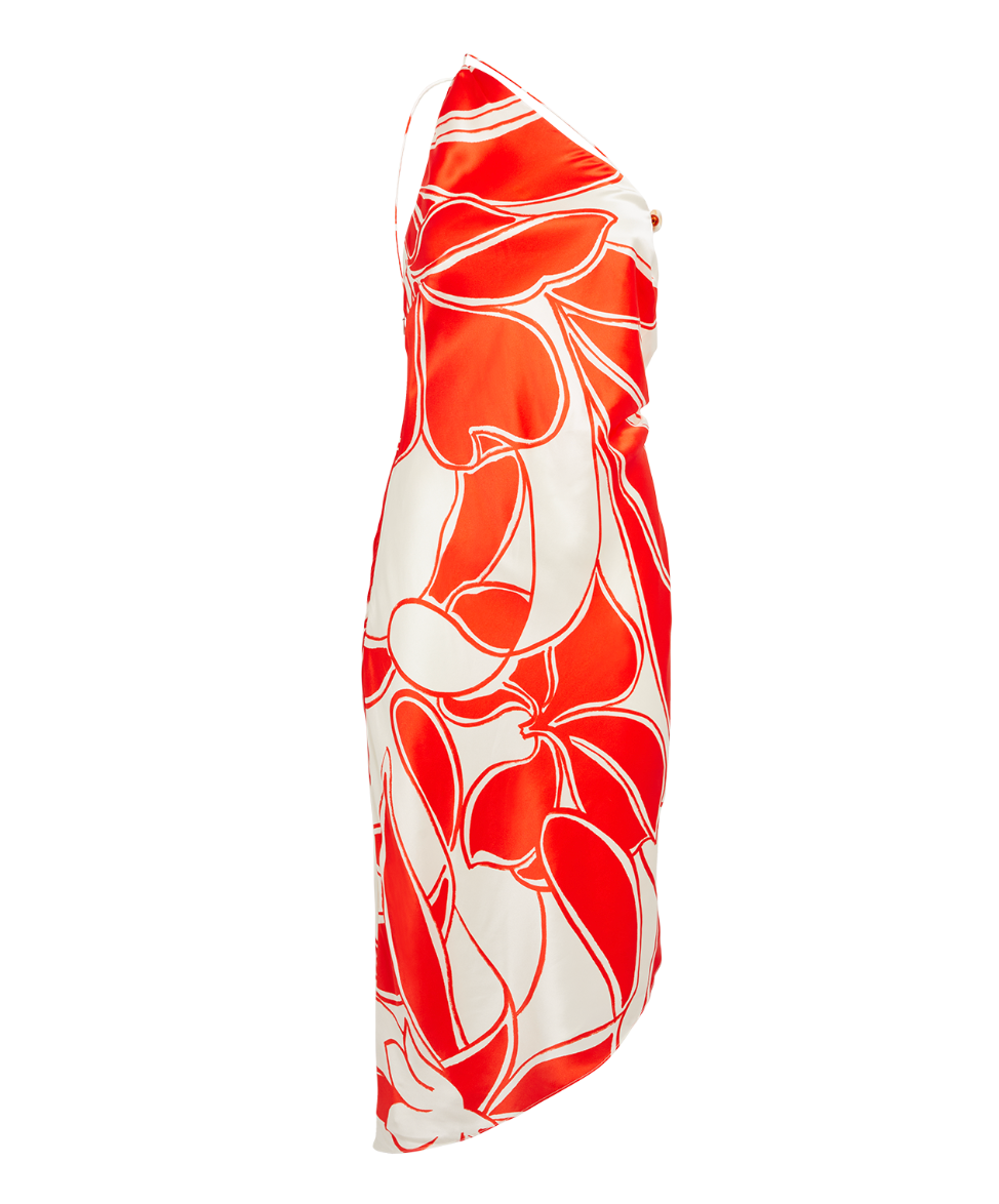 Ramona Printed Silk Midi Dress