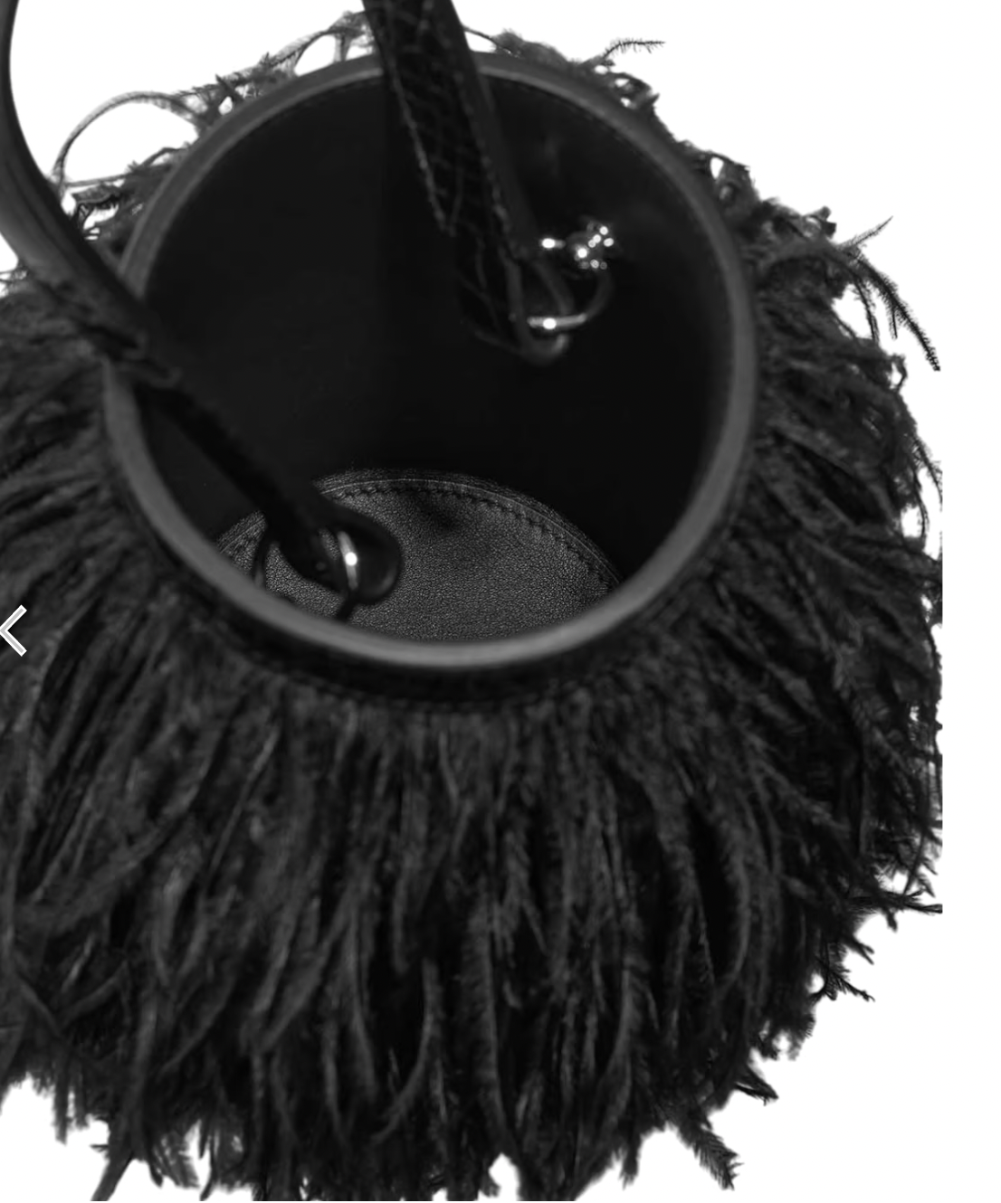 Alligator Toupet Folie Mississippiensis  Plumes Autruche