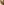         Beige sequinned pointelle knit cami dress