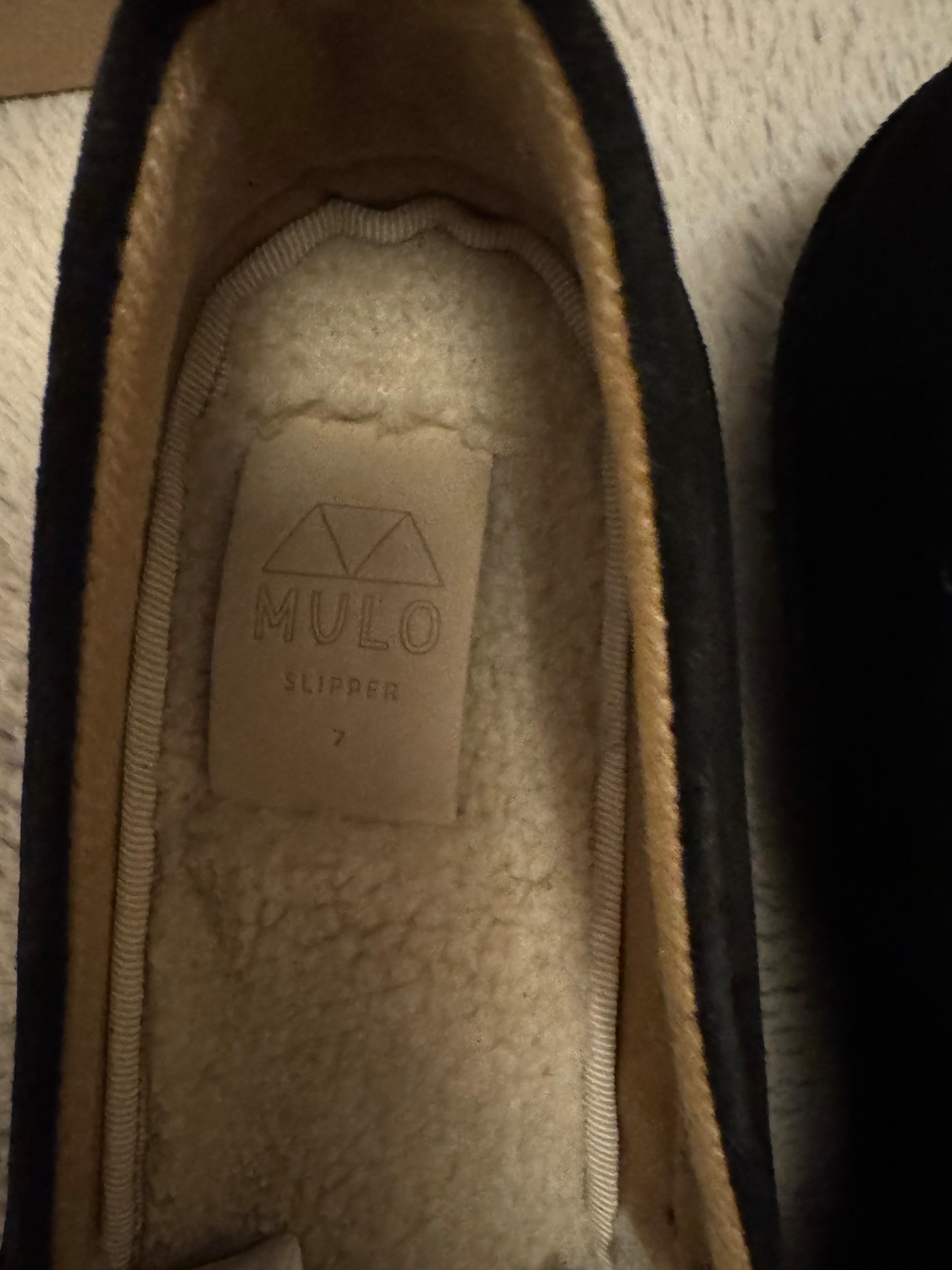 Mulo Black Suede Slippers