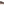         Fendi Brown Tortoise Shell Cat Eye Gradient Sunglasses