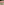         Dolce & Gabbana White Tropical Rose Pouch