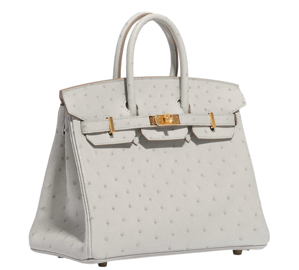 Hermès HSS Autruche Gris Perle Birkin 25 With Gold-tone Hardware