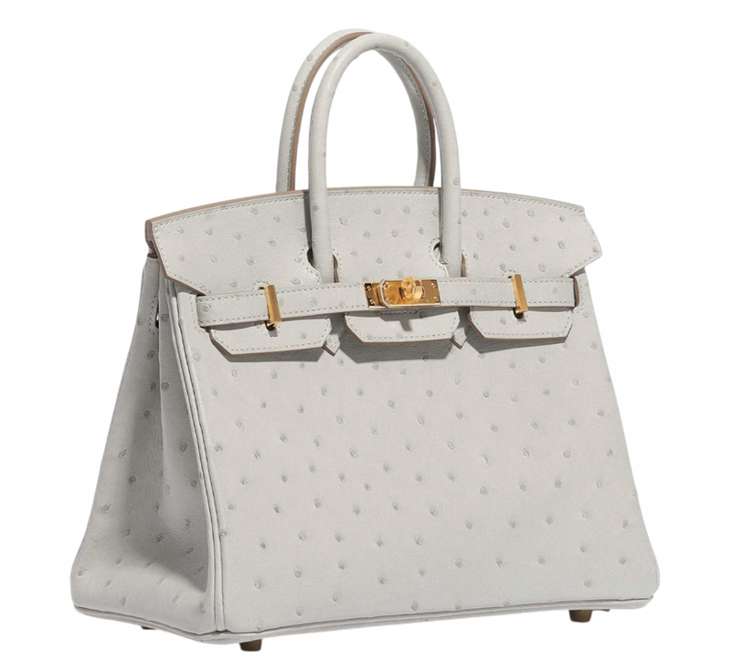 Hermès HSS Autruche Gris Perle Birkin 25 With Gold-tone Hardware