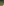         Petar Petrov Green Metallic Semi-Sheer Blouse