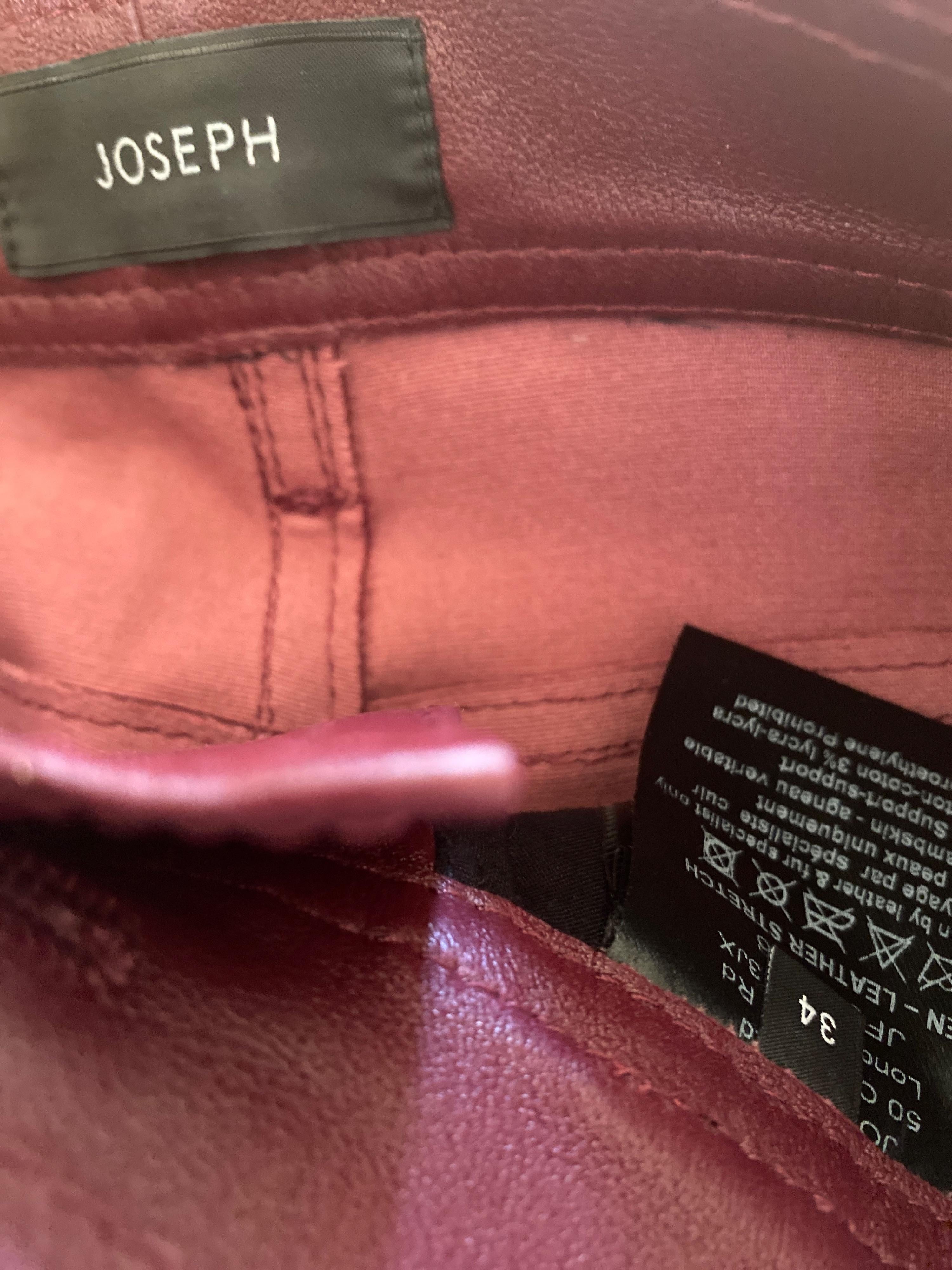 Den Burgundy Stretch Leather Pants
