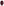        Masscob Burgundy Short Sleeve Sheer Blouse