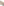         Max Mara Beige Cashmere-Blend Lounge Trousers