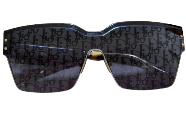 Dior Blue Mask Sunglasses